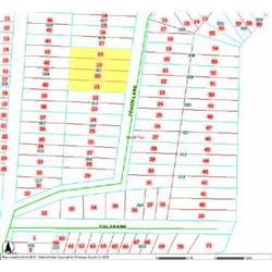 MERRILL TOWNSHIP 06-10-332-011