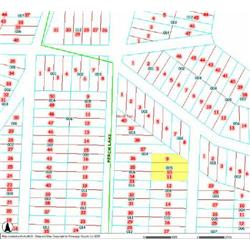 MERRILL TOWNSHIP 06-10-455-005