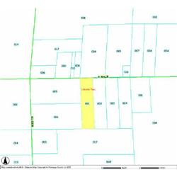 LINCOLN TOWNSHIP 10-18-200-011