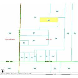 WILCOX TOWNSHIP 11-33-451-007