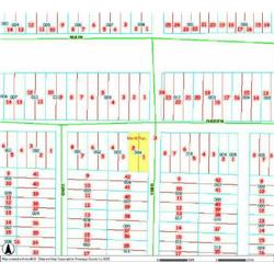 MERRILL TOWNSHIP 06-03-331-004