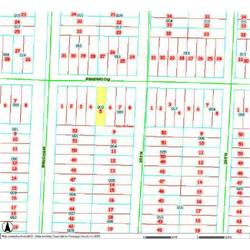 MERRILL TOWNSHIP 06-03-356-002