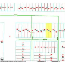 MERRILL TOWNSHIP 06-03-402-005