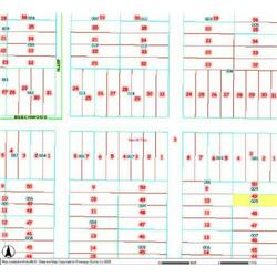 MERRILL TOWNSHIP 06-03-434-005