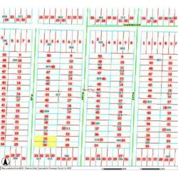 MERRILL TOWNSHIP 06-04-377-013