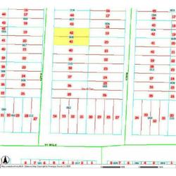 MERRILL TOWNSHIP 06-04-385-008