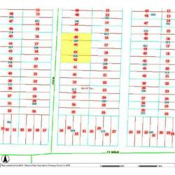 MERRILL TOWNSHIP 06-04-457-004,  -006