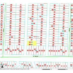 MERRILL TOWNSHIP 06-04-458-020, -021