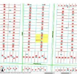 MERRILL TOWNSHIP 06-04-480-021, -025