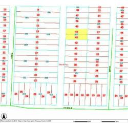 MERRILL TOWNSHIP 06-04-481-007