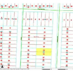 MERRILL TOWNSHIP 06-04-485-009