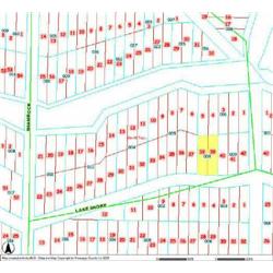 MERRILL TOWNSHIP 06-09-334-008