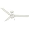 Image 1 : Hunter Fan Company 59263 Cassius 52 Inch 3 Blade 3 Speed Wooden Indoor/Outdoor Ceiling Fan with Pull