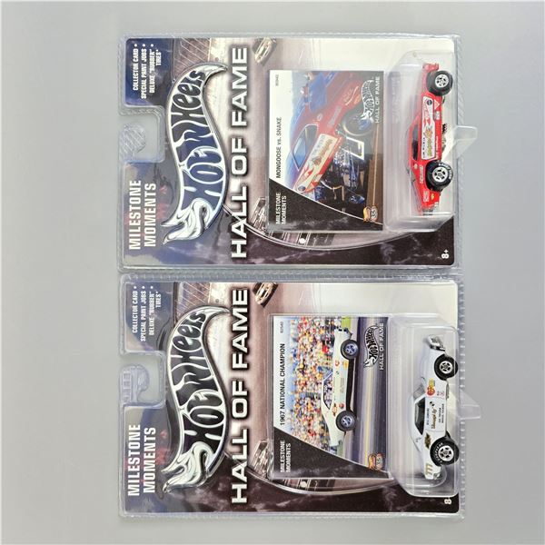 Hot Wheels Premium Hall of Fame pair