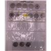 Image 1 : Binder Pages of Canadian Quarters