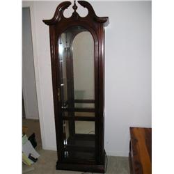 Lighted glass curio cabinet