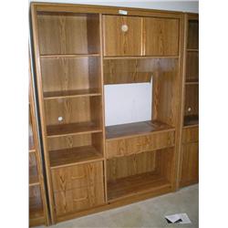 TV Bookshelf/entertainment section