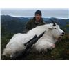 Image 3 : Southeast Alaska boat based Mountain Goat