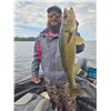 Image 3 : Guided Fishing on scenic Rainy Lake
