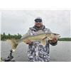 Image 4 : Guided Fishing on scenic Rainy Lake