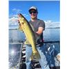 Image 7 : Guided Fishing on scenic Rainy Lake