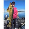 Image 8 : Guided Fishing on scenic Rainy Lake
