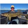 Image 9 : Guided Fishing on scenic Rainy Lake