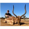 Image 1 : African Safari for 2 Hunters 2 zebra, 2 Impala to be shared between hunters