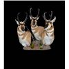 Image 9 : JB's Wildlife Design Deer or Antelope Shoulder Mount