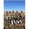 Image 2 : 2.5 day Waterfowl Hunt with Big Grass Outfitters for 2 hunters