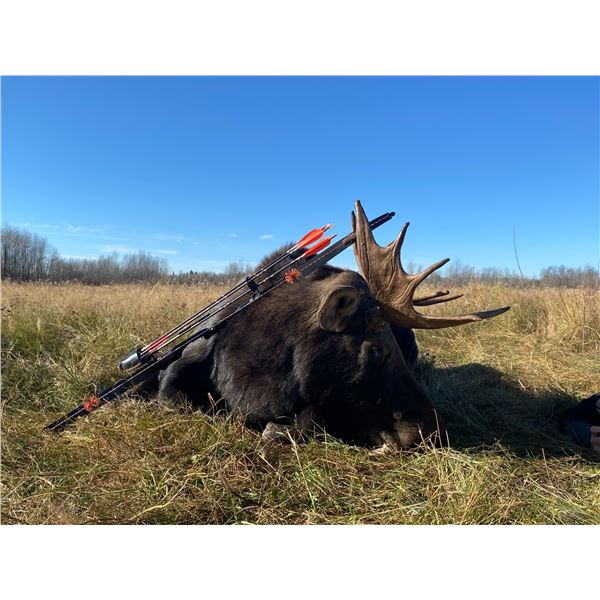 Back Country Moose Hunt