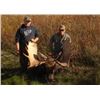 Image 2 : Back Country Moose Hunt