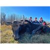 Image 5 : Back Country Moose Hunt