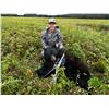 Image 10 : Newfoundland Moose Bear Hunt Combo