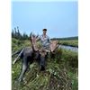 Image 2 : Newfoundland Moose Bear Hunt Combo