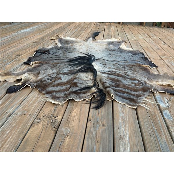 Wildebeest Hide proceeds to be donated in Support of Special Olympics