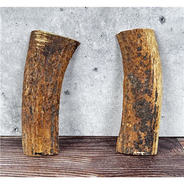 Stag Antler Horn Knife Making Handle Slabs