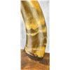 Image 10 : Antique Native American Indian Powder Horn