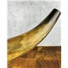 Image 11 : Antique Native American Indian Powder Horn