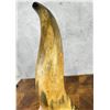 Image 6 : Antique Native American Indian Powder Horn
