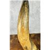Image 7 : Antique Native American Indian Powder Horn