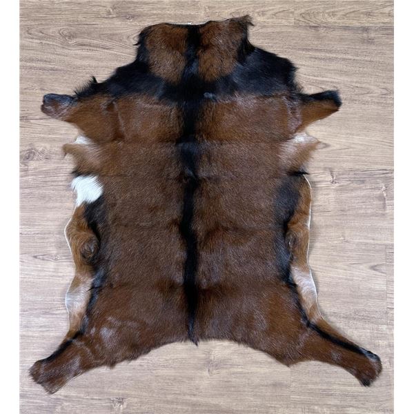 Taxidermy Hair On Goat Hide