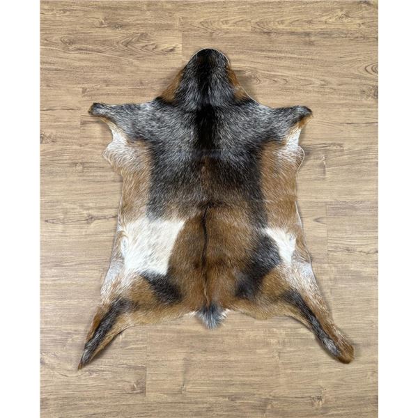 Taxidermy Hair On Goat Hide