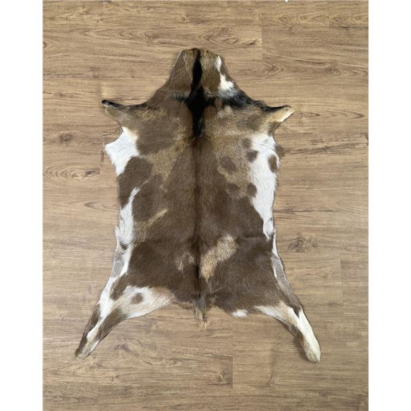 Taxidermy Hair On Goat Hide