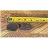 Image 3 : Carboniferous Fern Fossil Specimens
