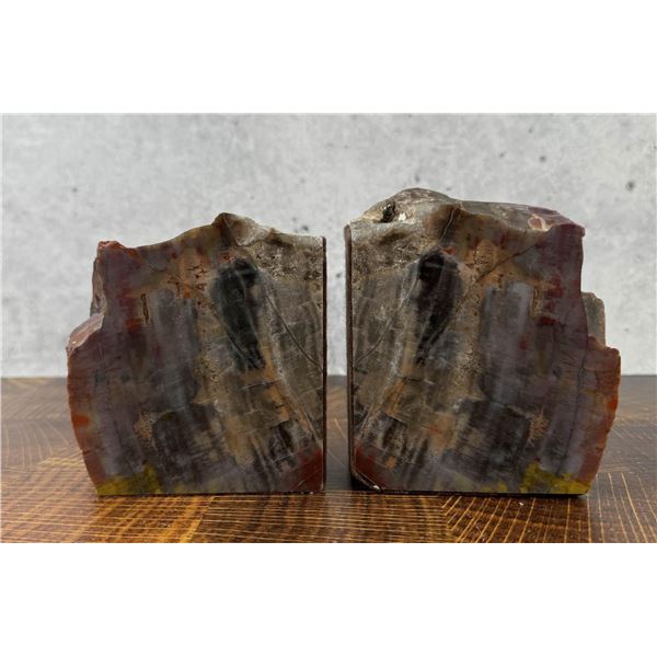 Arizona Rainbow Petrified Wood Bookends
