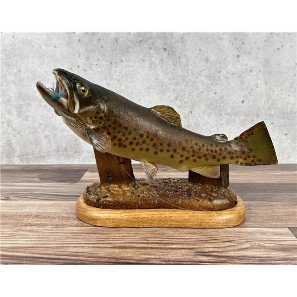 Brown Trout Taxidermy Fish Mount