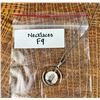 Image 5 : Scrimshaw Necklace