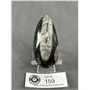 Image 1 : Orthocerras Fossil. Retails $289.00