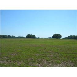 Property #3 Lamb Auction